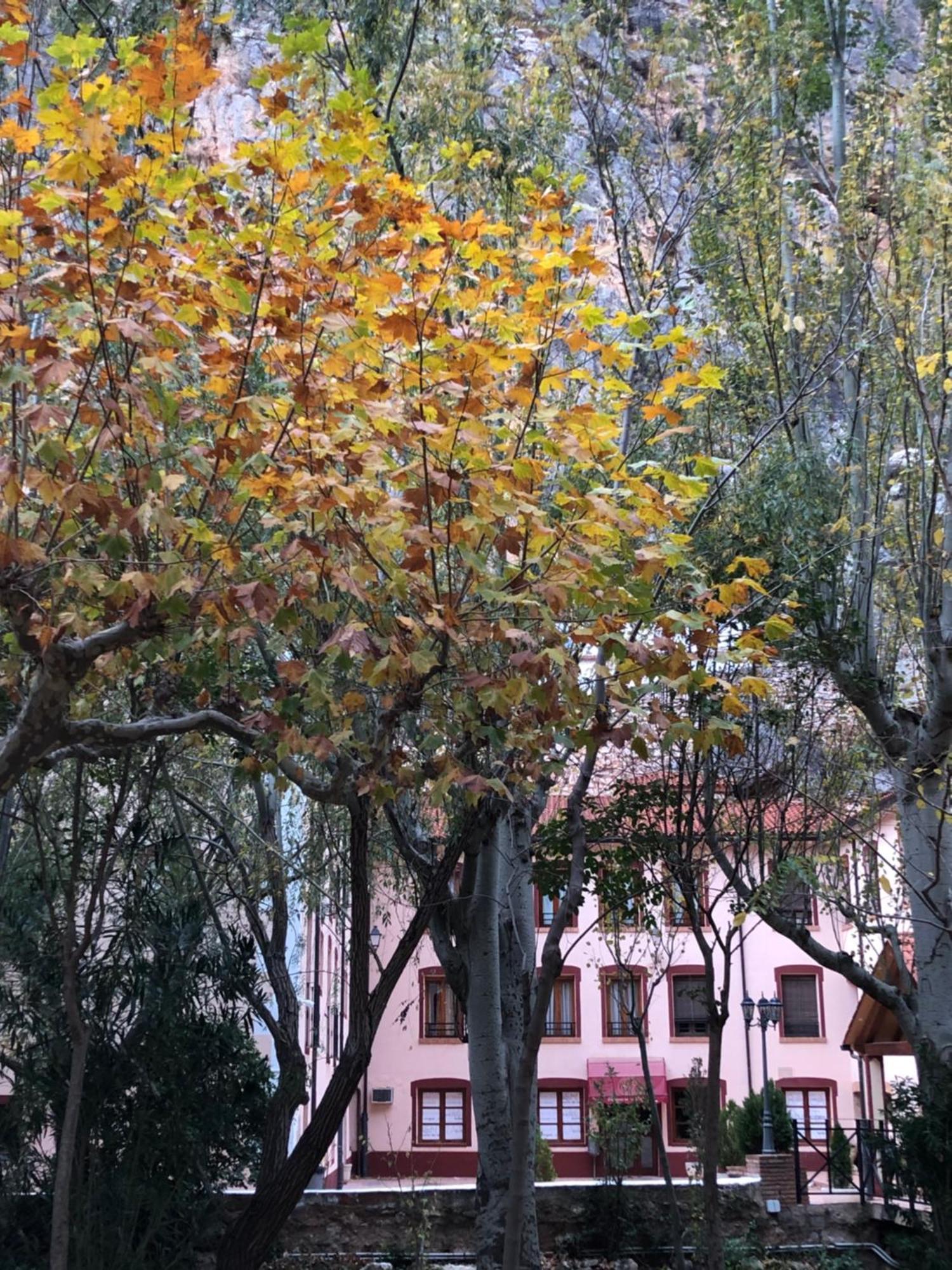 Hotel Balneario De La Virgen Jaraba Kültér fotó